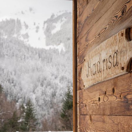 Neuberg Alm Villa Санкт Галенкирх Екстериор снимка